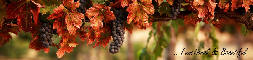 wp7b46f051.jpg